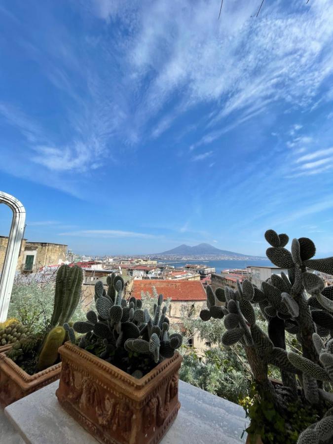 Alma De Templarsf - Stunning Design Home With Sea View And Terrace Napels Buitenkant foto